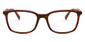 Striped Brown