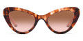 Havana / Brown Gradient 07R0A6