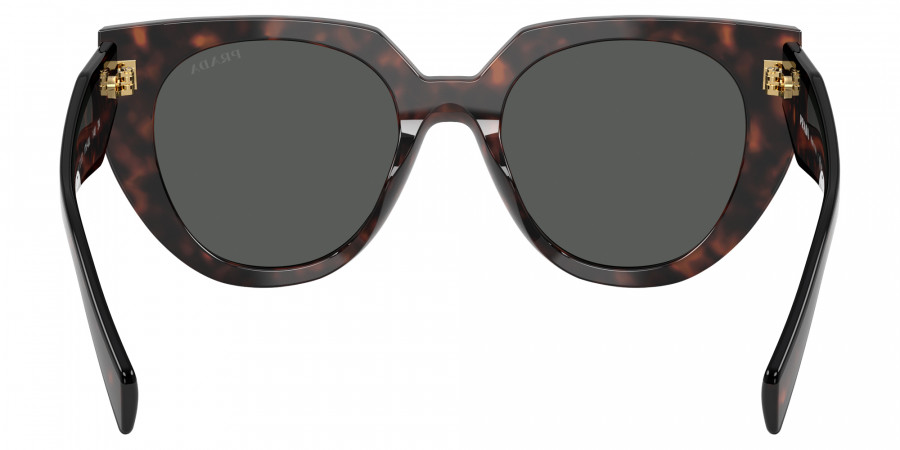 Color: Root Tortoise (17N40L) - Prada PR14WS17N40L52