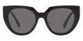 Black / Dark Gray Polarized