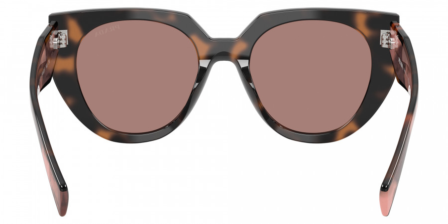 Color: Mauve Tortoise (23A60B) - Prada PR14WS23A60B52