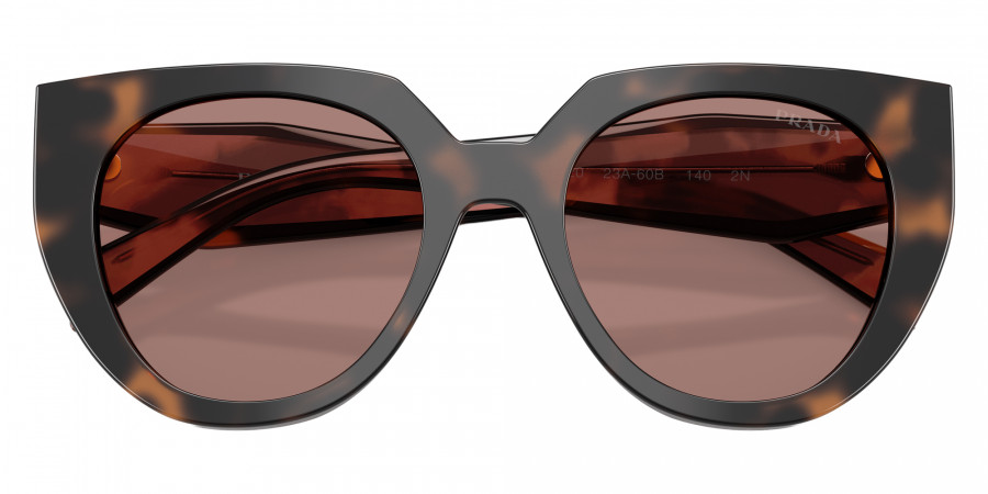 Color: Mauve Tortoise (23A60B) - Prada PR14WS23A60B52