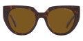Tortoise / Dark Brown Polarized