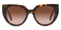 Tortoise / Brown Gradient