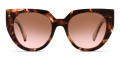 Havana / Brown Gradient