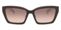 Brown / Brown Gradient