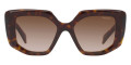 Tortoise / Brown Gradient