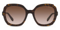 Havana / Brown Gradient