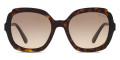 Havana / Black / Brown Gradient