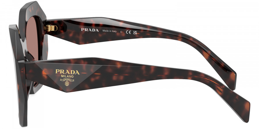 Color: Root Tortoise (17N60B) - Prada PR16WS17N60B53