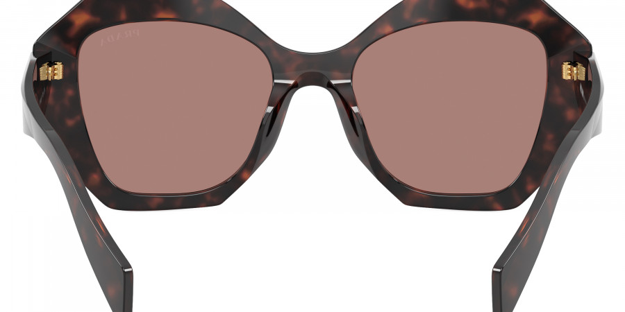 Color: Root Tortoise (17N60B) - Prada PR16WS17N60B53