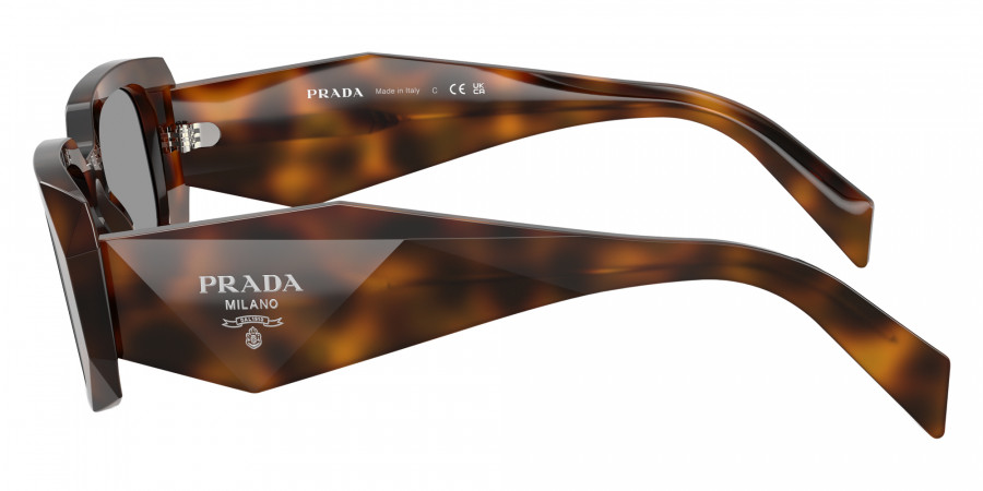 Color: Juniper Tortoise (20D50Q) - Prada PR17WS20D50Q49