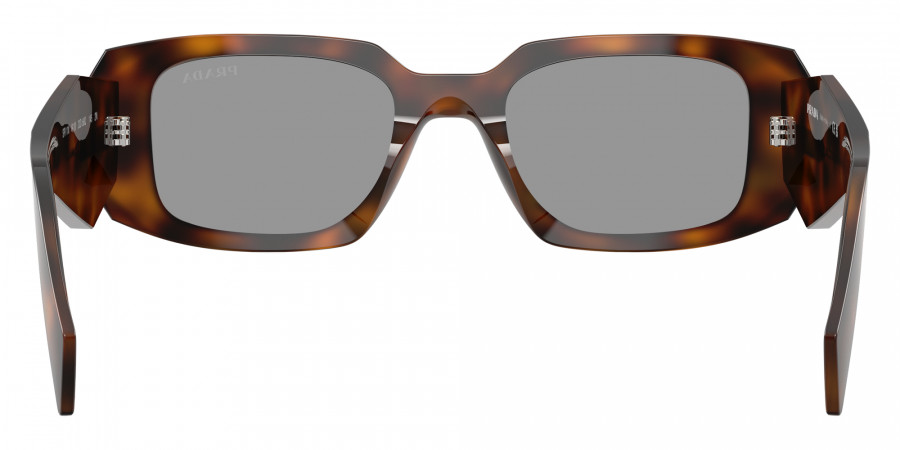 Color: Juniper Tortoise (20D50Q) - Prada PR17WS20D50Q49