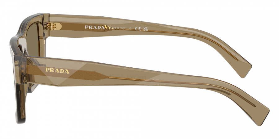 Color: Terra (29E90F) - Prada PR19WS29E90F52