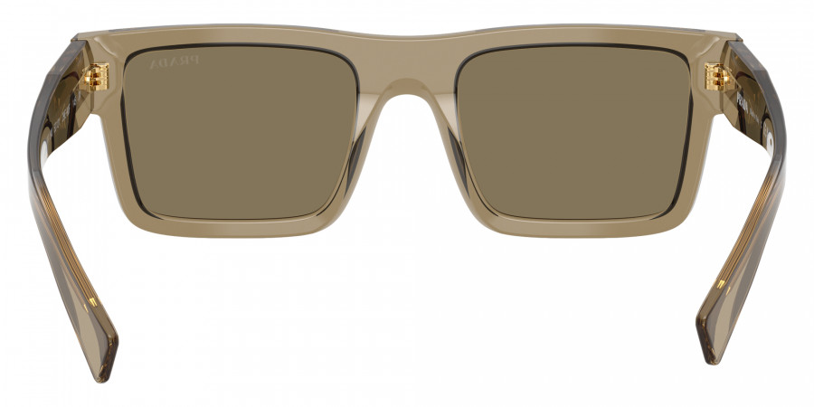 Color: Terra (29E90F) - Prada PR19WS29E90F52