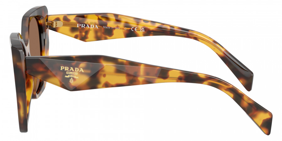 Color: Honey Tortoise (14L06B) - Prada PR19ZS14L06B55