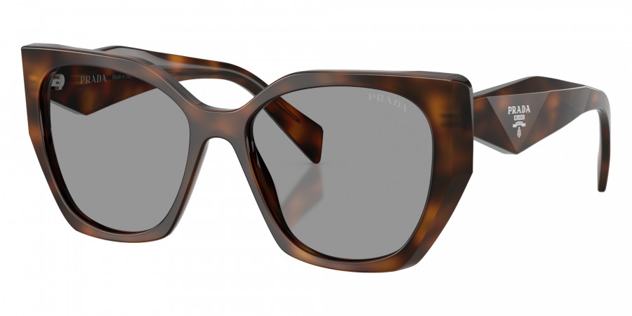Color: Juniper Tortoise (20D50Q) - Prada PR19ZS20D50Q55