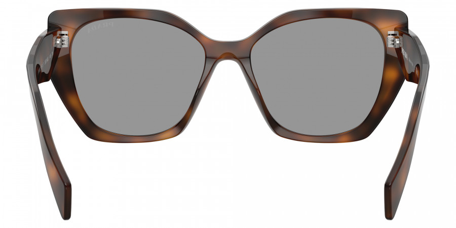 Color: Juniper Tortoise (20D50Q) - Prada PR19ZS20D50Q55