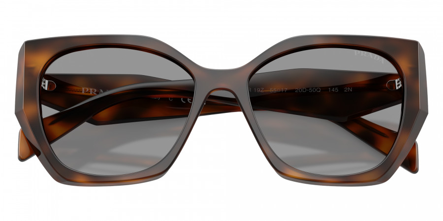 Color: Juniper Tortoise (20D50Q) - Prada PR19ZS20D50Q55