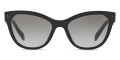 Black / Gray Gradient