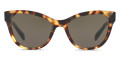 Havana / Brown