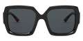 Black / Polarized Gray