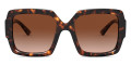 Havana / Brown Gradient