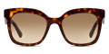 Havana / Light Brown Gradient Light Gray