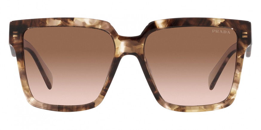 Prada™ PR 24ZS 07R0A6 56 - Caramel Tortoise/Powder