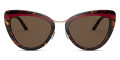 Havana / Red / Havana / Dark Brown