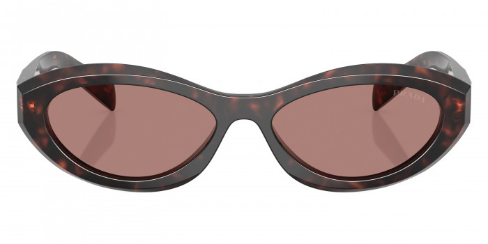 Prada Symbole PR 26ZS 17N60B 55 - Root Tortoise