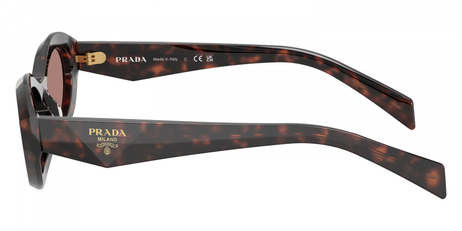 Color: Root Tortoise (17N60B) - Prada PR26ZS17N60B55