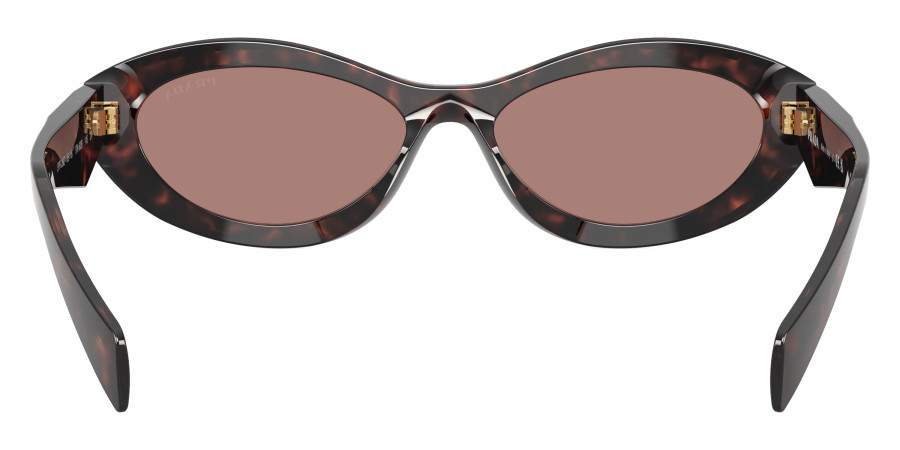 Color: Root Tortoise (17N60B) - Prada PR26ZS17N60B55