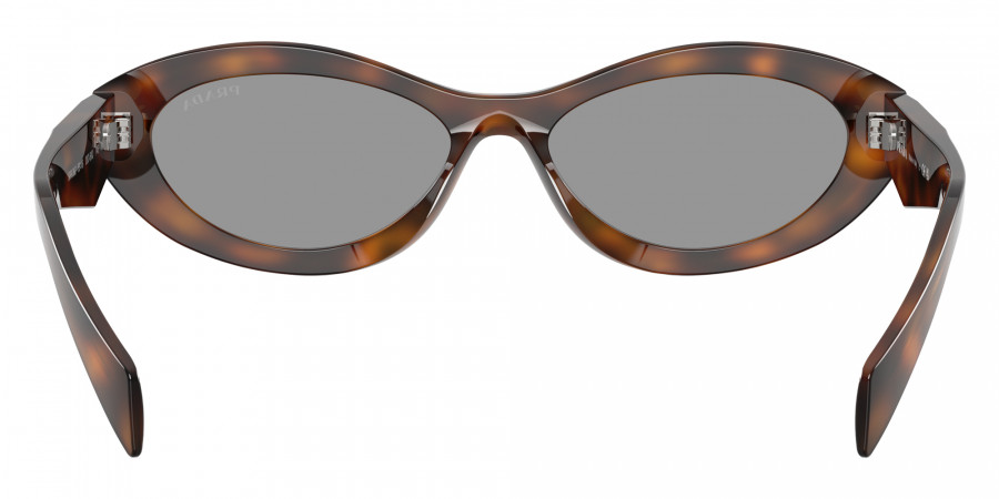 Color: Juniper Tortoise (20D50Q) - Prada PR26ZS20D50Q55