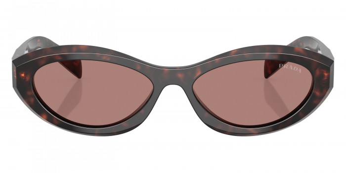 Prada Symbole PR 26ZSF 17N60B 56 - Root Tortoise