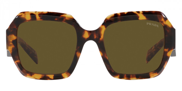 Prada PR 28ZS 14L09Z 53 - Sage/Honey Tortoise