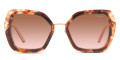 Caramel Tortoise / Brown Gradient