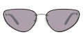 Silver / Dark Gray
