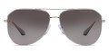 Gunmetal / Polarized Gray Gradient