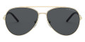 Pale Gold / Polarized Gray