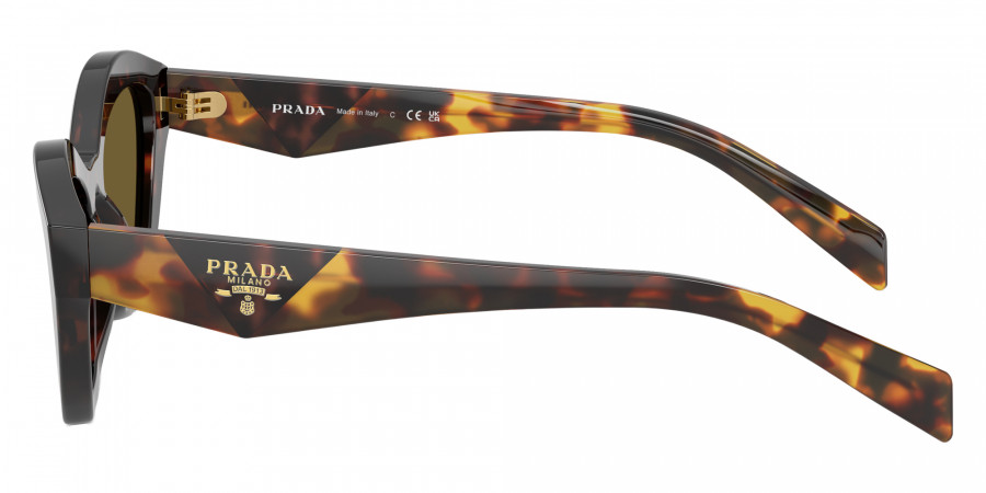 Color: Root Tortoise (17N09Z) - Prada PRA02S17N09Z52