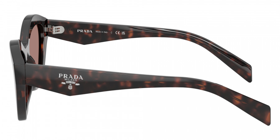 Color: Root Tortoise (17N60B) - Prada PRA02S17N60B52