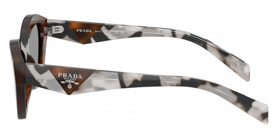 Color: Juniper Tortoise (20D50Q) - Prada PRA02S20D50Q52