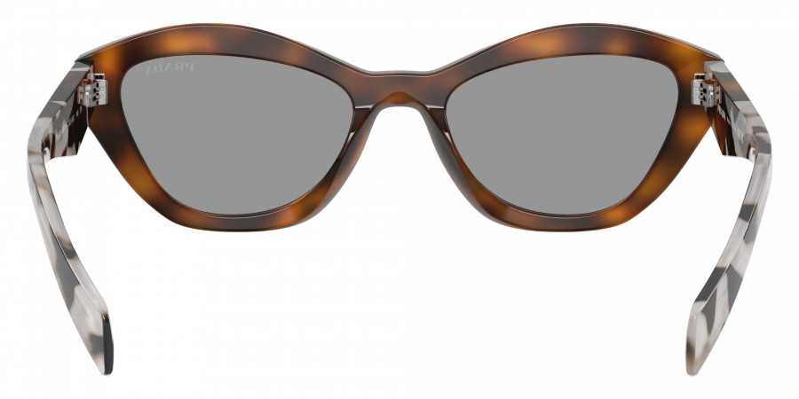Color: Juniper Tortoise (20D50Q) - Prada PRA02S20D50Q52
