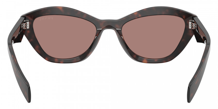Color: Root Tortoise (17N60B) - Prada PRA02SF17N60B55