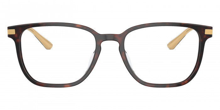 Prada PR A12VD 16N1O1 54 - Briar Tortoise/Gold