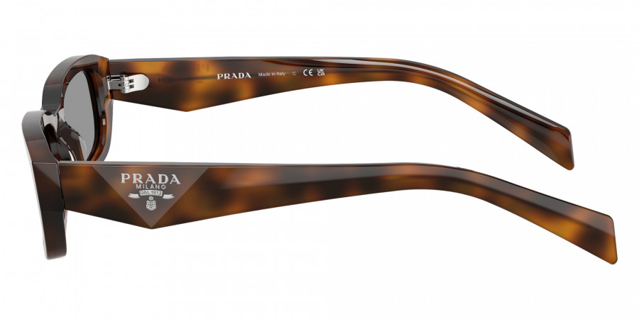 Color: Juniper Tortoise (20D50Q) - Prada PRB06S20D50Q53