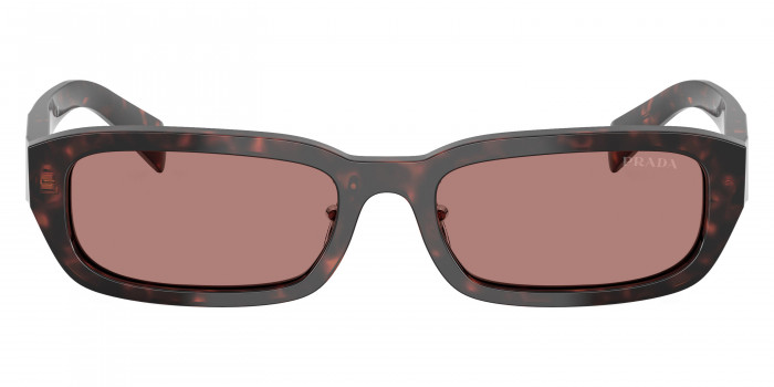 Prada Symbole PR B06SF 17N60B 55 - Root Tortoise