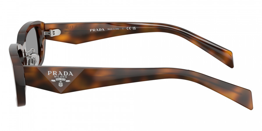 Color: Juniper Tortoise (20D50Q) - Prada PRB06SF20D50Q55