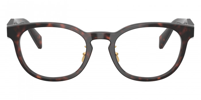 Prada Symbole PR B06VD 17N1O1 50 - Matte Green/Pink/Root Tortoise